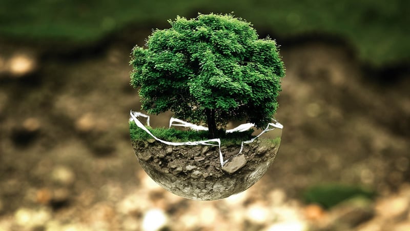 Celtic Tree of Life